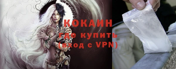 дмт Мегион