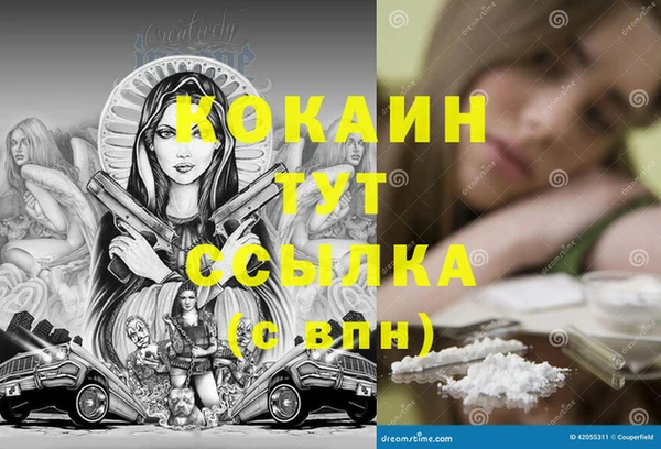 дмт Мегион